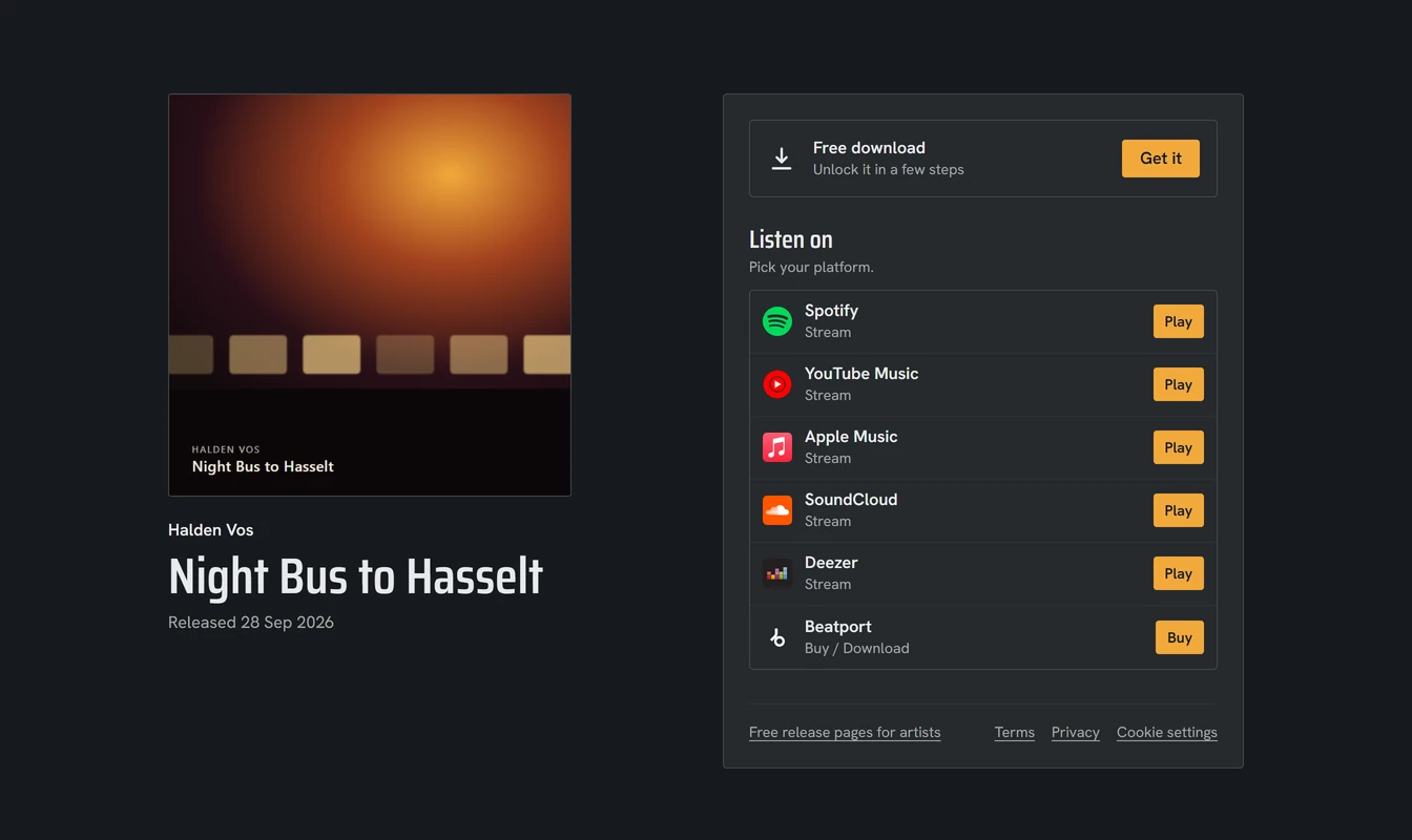 A released track page with links to every streaming platform